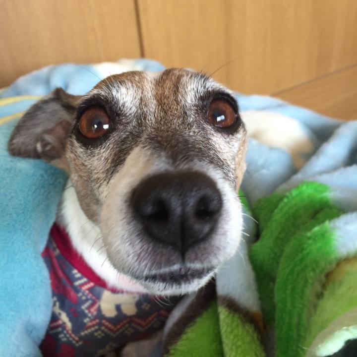 C270e1fc 767d 49c9 a496 0ddd1b5c57ce