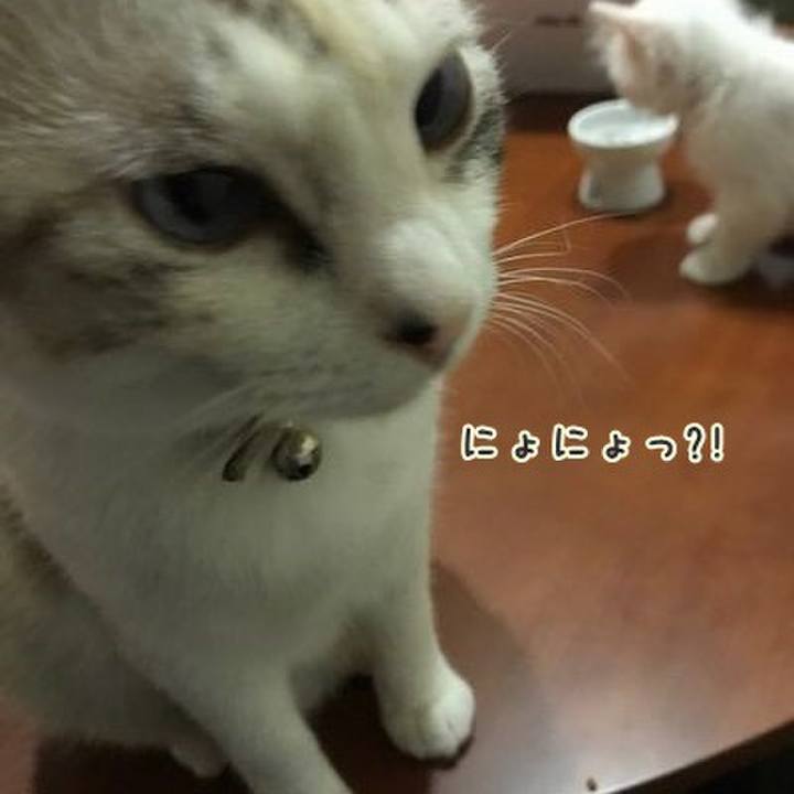 C270e30f e4af 4b44 bbca 0ad5355b6f7d