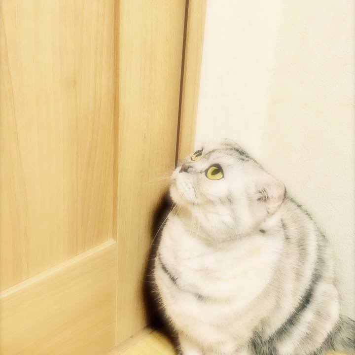 C27121a6 6d4e 4a2b b091 924740535f35