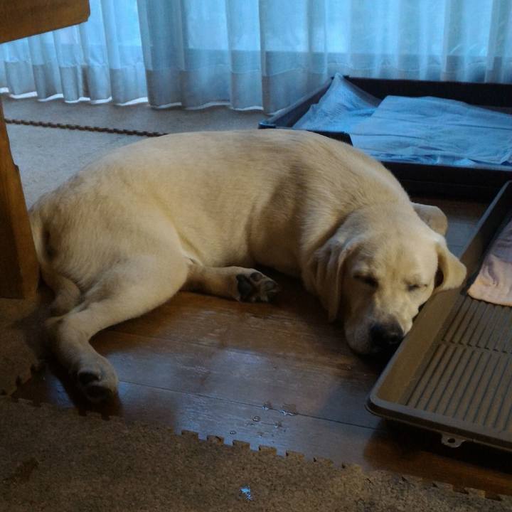 C271425b 4c3a 42ff af15 0d07d760aeaf