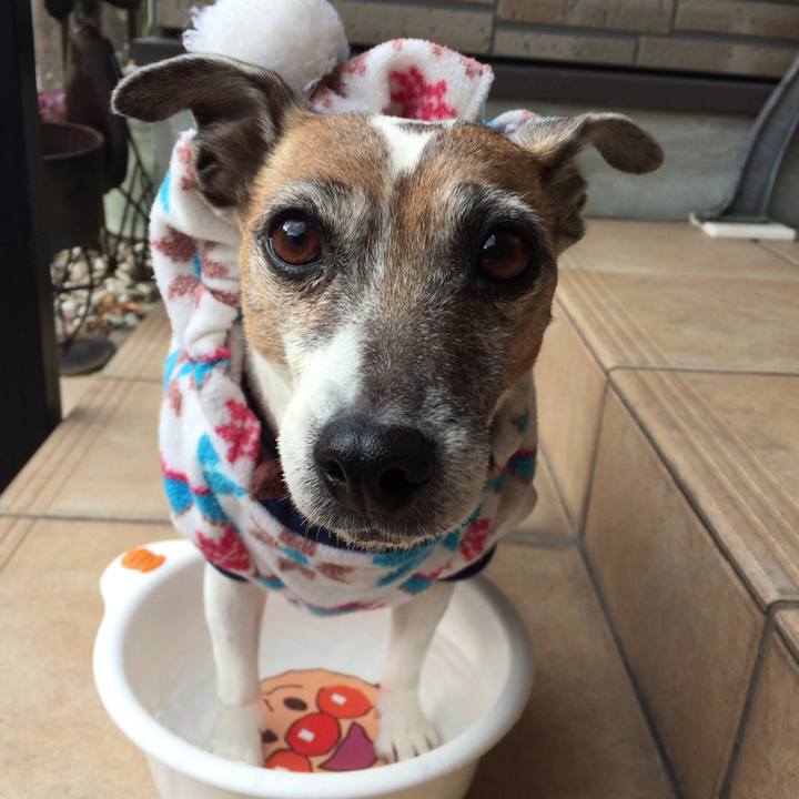 C2728f2f d5bb 4022 9302 f52263be5c37