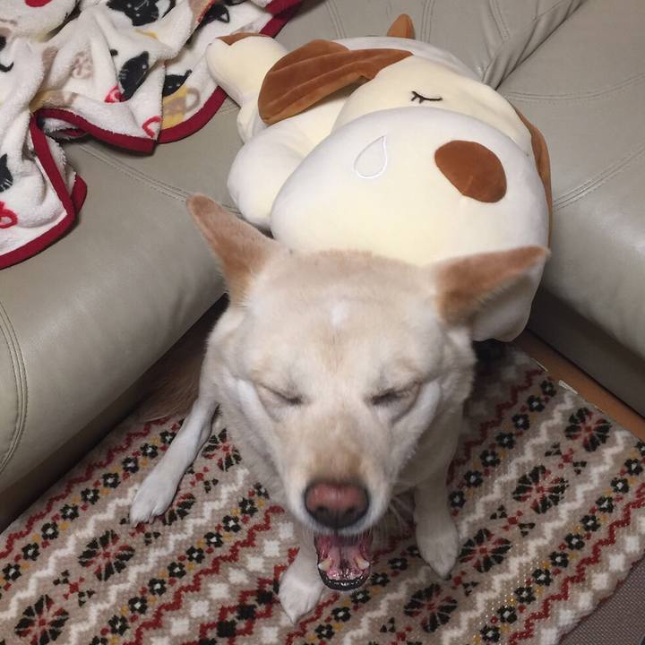 C272aef8 fc98 4bdf a8ad 9d8eadd84152