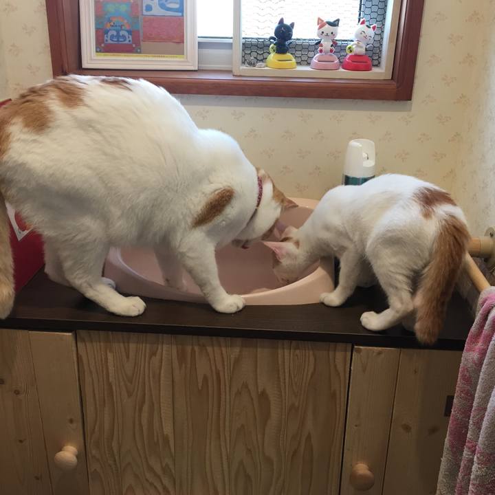 C2737ce9 9aef 41b9 a1f5 6c1670283795