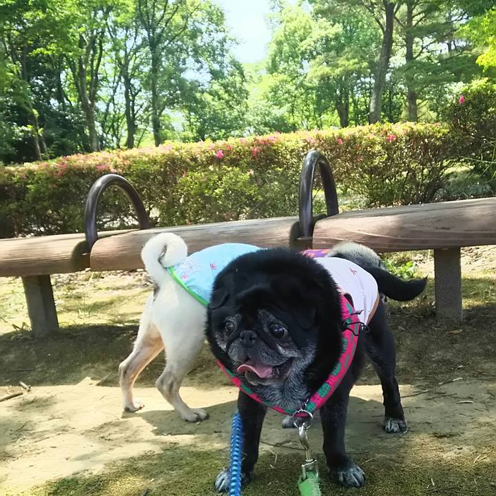 C273ea91 4e0e 44ad 9758 a3f7bdf589ab