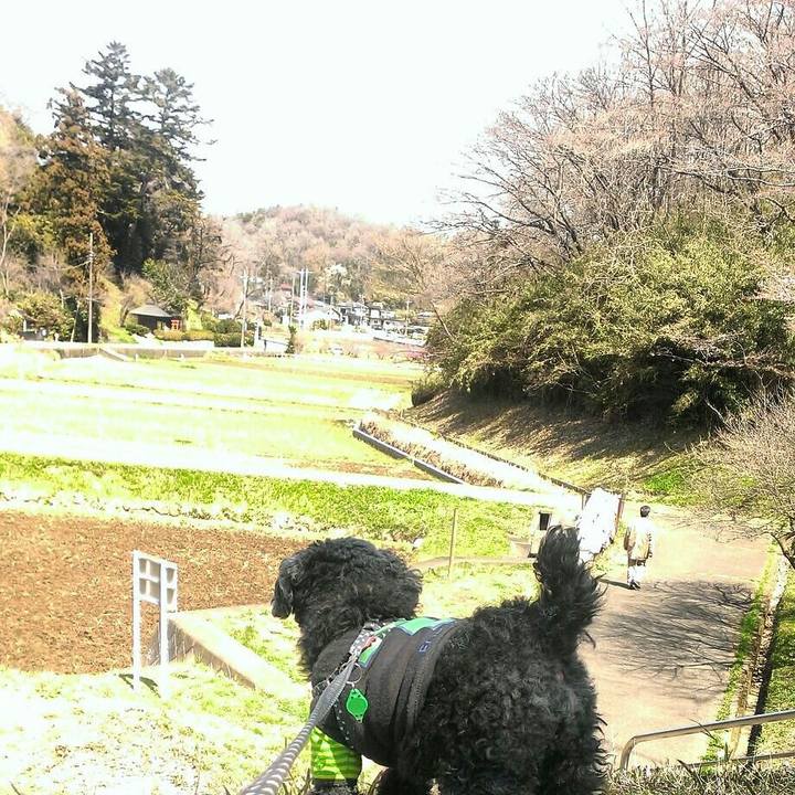 C273ee45 3725 4365 abe2 eae754d2f97a