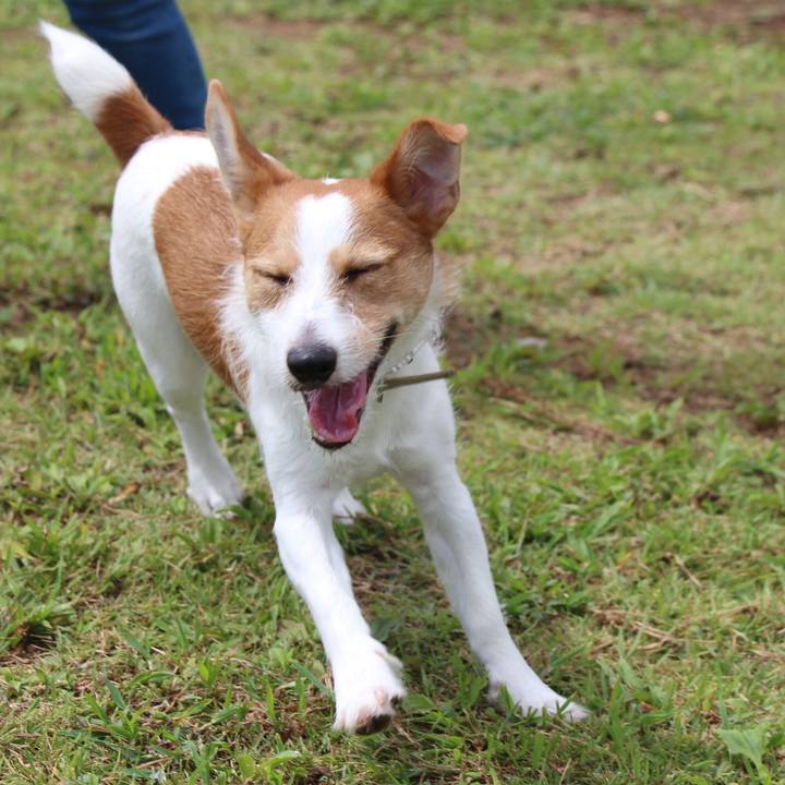 C2741207 7e65 47cc 9b7d 8a0557fb043a