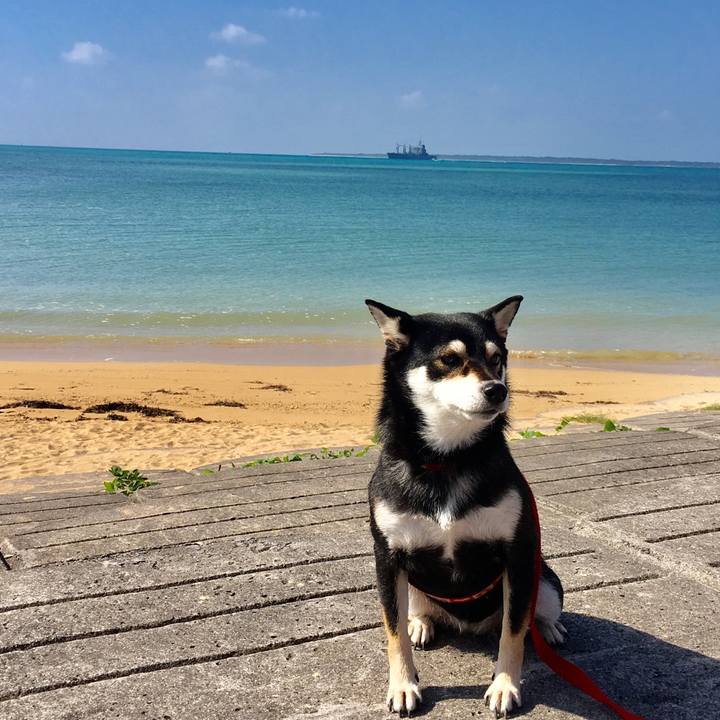 C274a05e 7f05 4c8a ab04 dbb52b2433d4