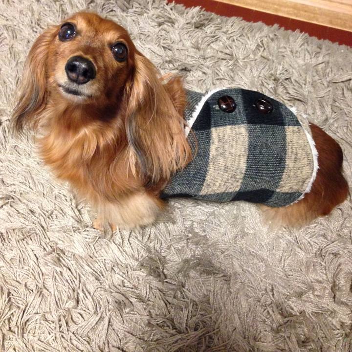 C2758905 5fb3 4fda 908f fe226a5b958b