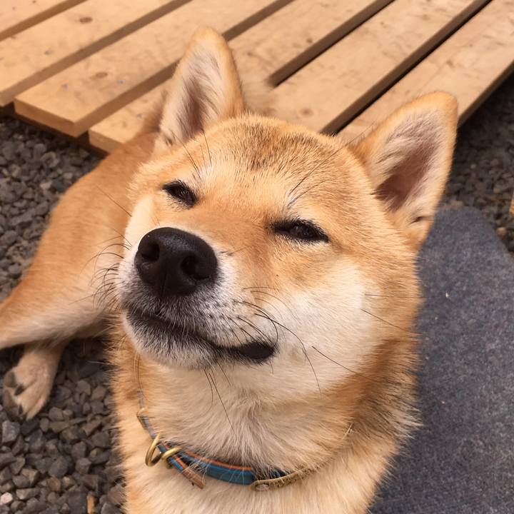 C2760ddd 42db 49de b726 8c341d8bc80e