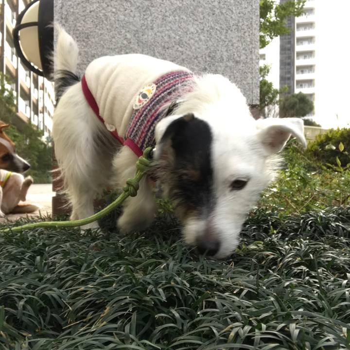 C2764a0f 26ce 4b3c 914b 634b3540a486