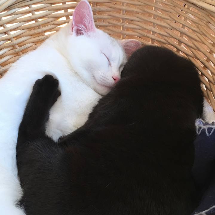 C2767388 eb53 4439 9d17 80507c7fe2b2