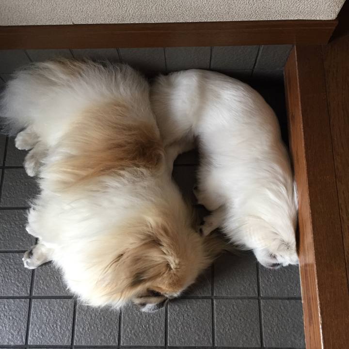 C276c1b9 a29c 4468 b81d facb9e924f8d