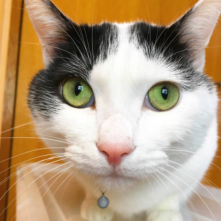 C2772cd9 0112 4472 b60a 776c1c2f9202