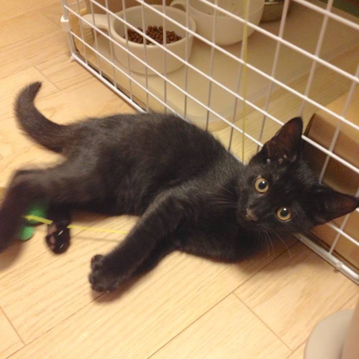 C278180c a2de 4c49 a881 ae318aa4bccd