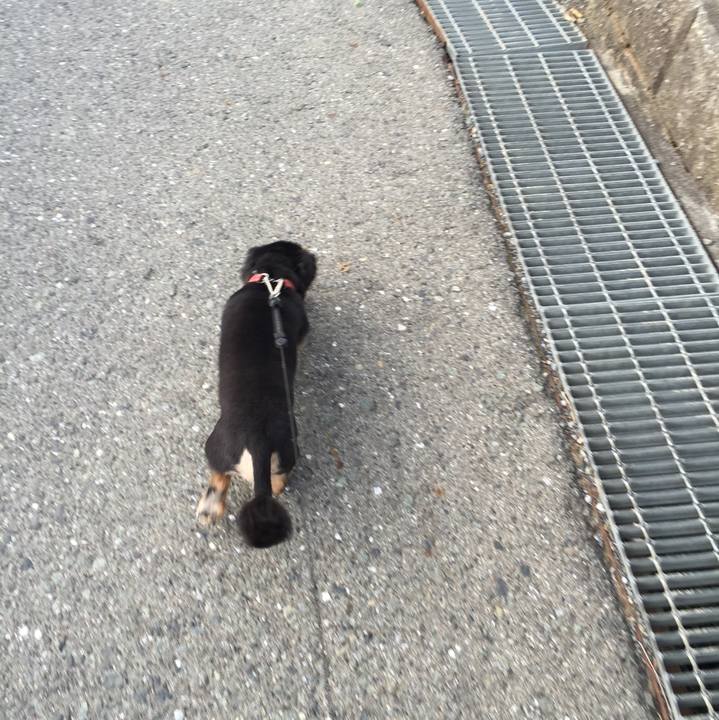 C278af84 1e5a 4705 babe 592664a5efb1