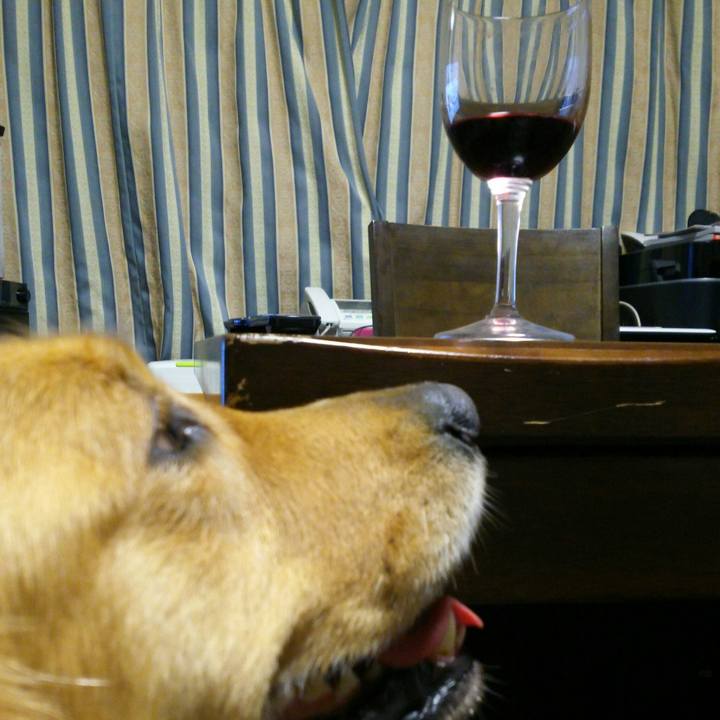 C278b12e 9d33 4c76 8314 a7c94801bb29