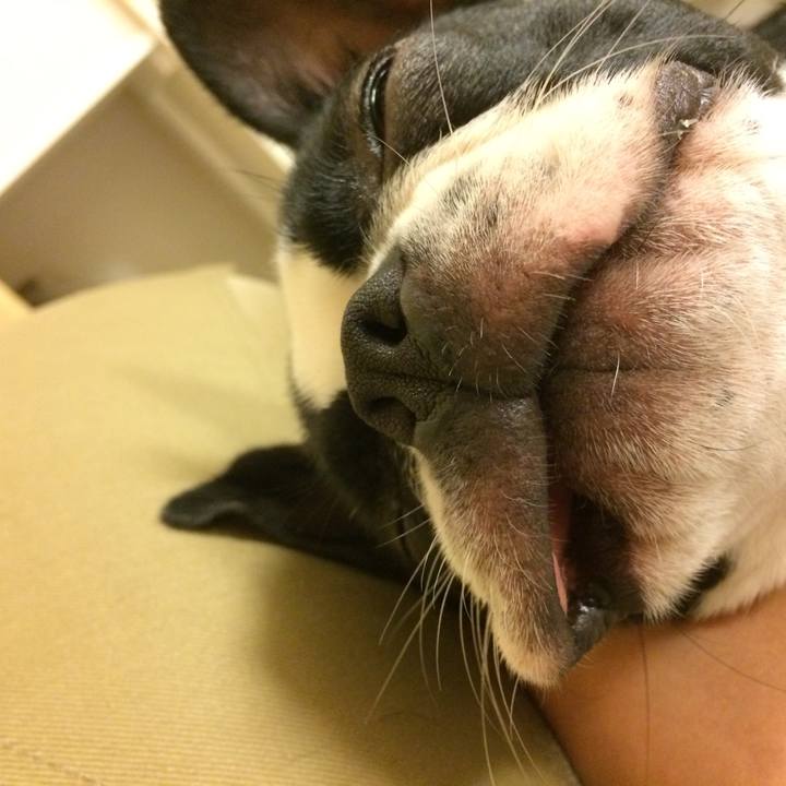 C2793ff0 30b0 4300 aa40 15ac35228a60