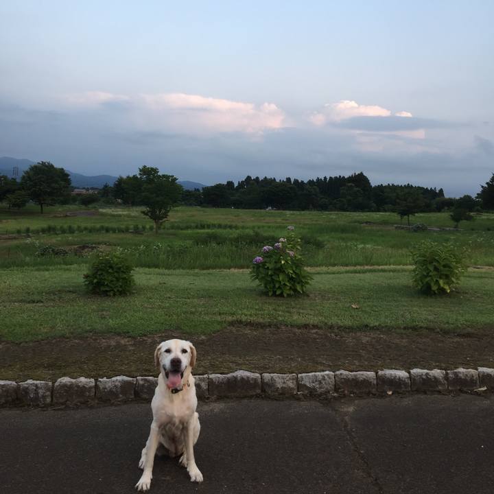 C279b1b7 4e31 4146 ba26 c465372fd2ff