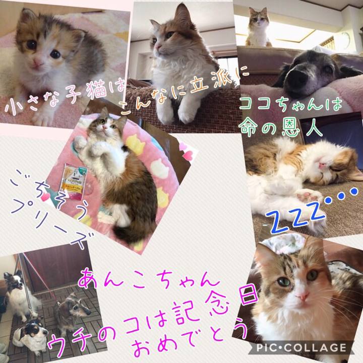 C27a60b7 5efa 4e1b bbb4 5c561b692506