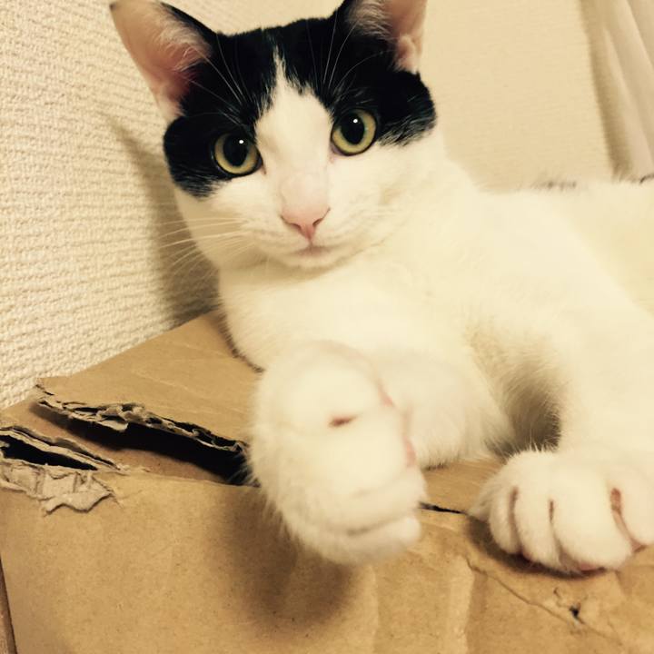 C27a9325 21d8 475b 94ed feb4f8d3452f