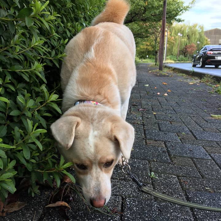 C27ab0eb b81e 4e92 8480 e02ab13512f9