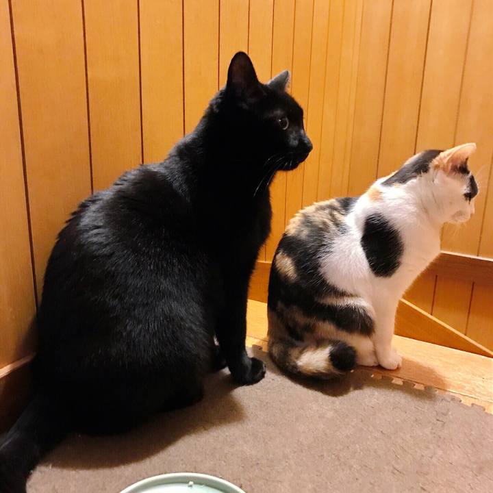 C27b4bcb 4ea2 4ab9 a8a9 c9c7a56ef49b