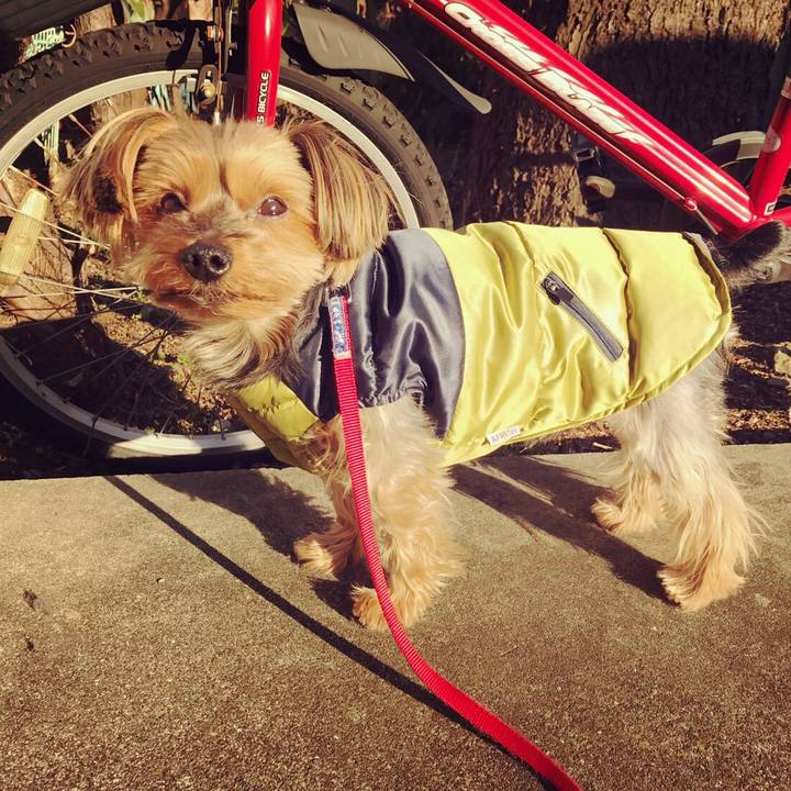 C27bdadb ef91 410f 92a7 7fe92d777130