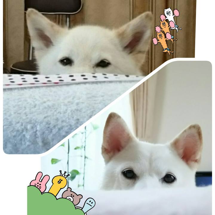 C27c3b50 48bd 4baa 81c8 6ebafaec494c