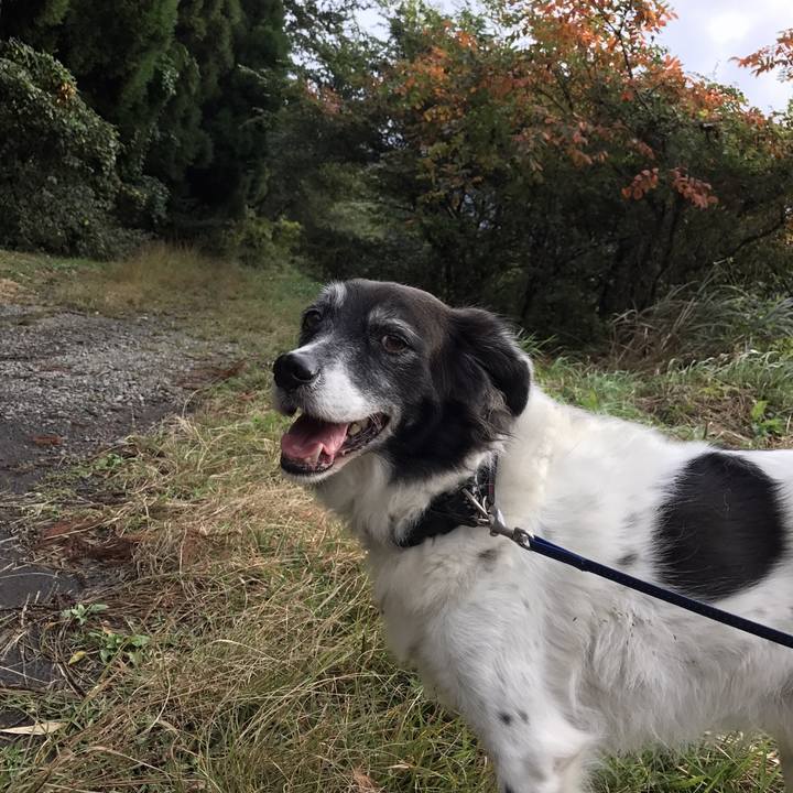 C27cb6f4 76ed 46eb 9011 7f9a34d32e52