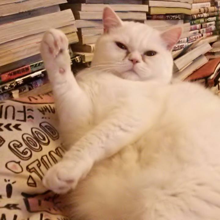 C27ce1e9 7214 4b90 9372 c72a88a7ee59