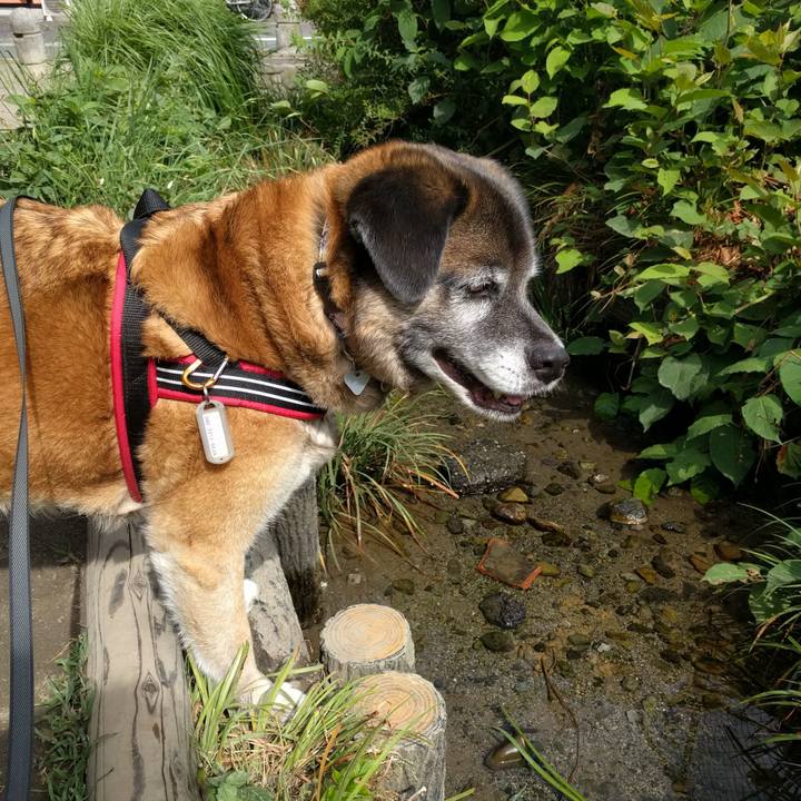 C27d1f52 85c0 454b 8153 f64eafcb1840