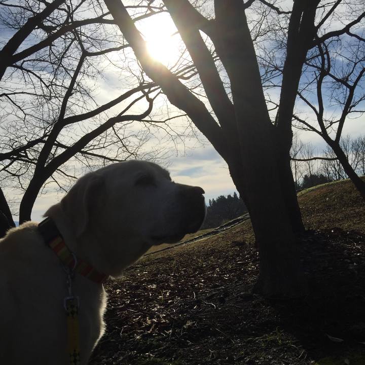 C27d481e 55c5 444d afd9 de9a6c6626ae