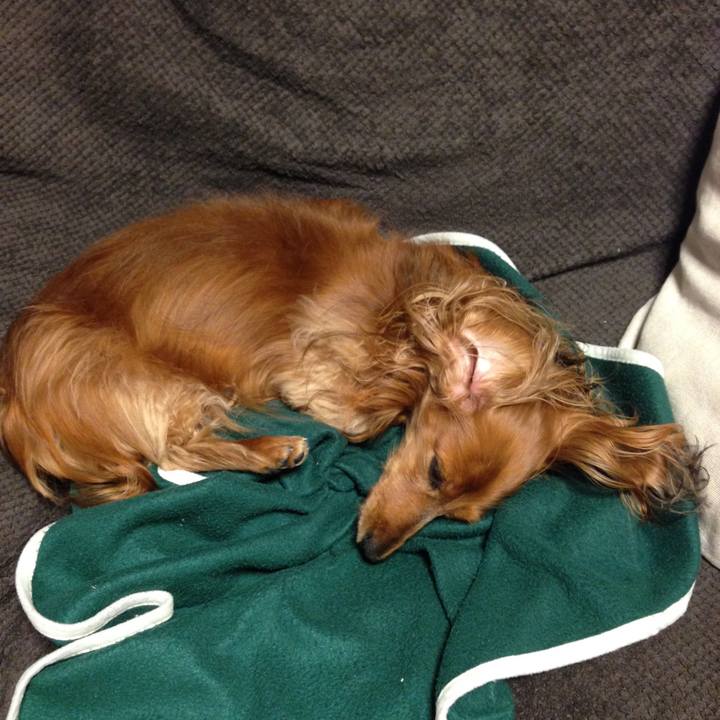 C27de0d6 b356 48bc 8338 ca4bd74d898a