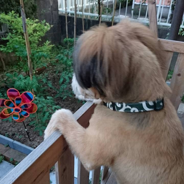 C27e8b75 6031 4a61 858e 3abe46a5f1d8