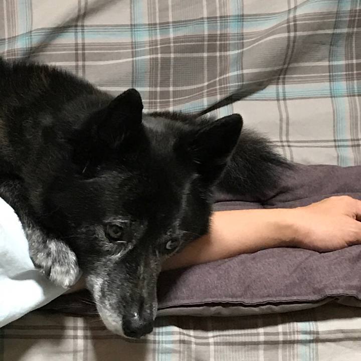 C27ef588 4c30 49dc 93c3 28935f1cb042