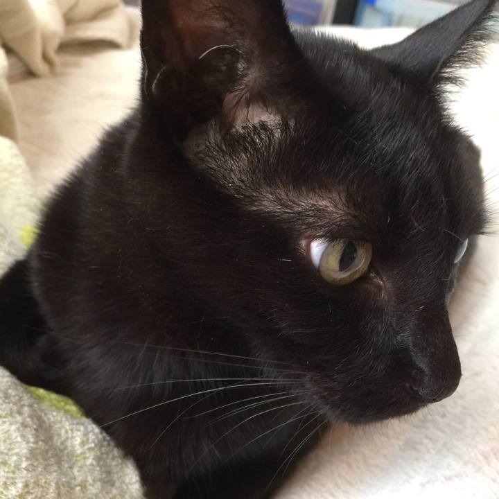 C27f450c 7309 4363 b9a8 b20848a985ab