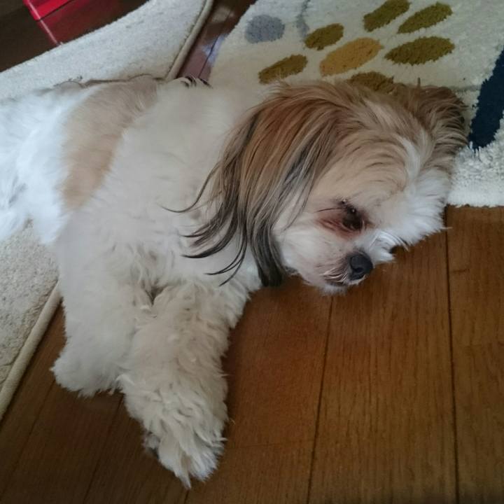 C27f7490 7643 4b28 bf32 3b1da6f7992c