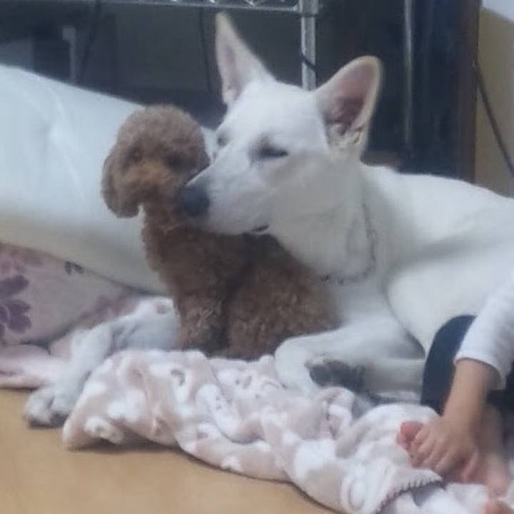 C27fdb90 a072 4cdb aa93 2921db175e12