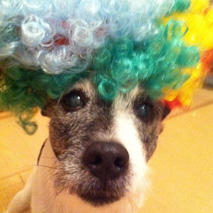 C2804ef4 caab 414c a091 2b1be56a56f4