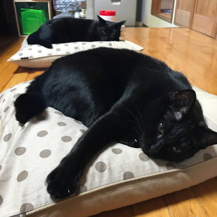 C28099fb d171 4f64 aa39 6fd884de9125