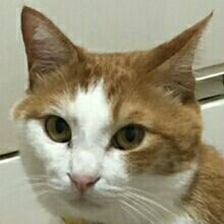 C280c530 e811 48fe ab5e 0d4a139e6aab