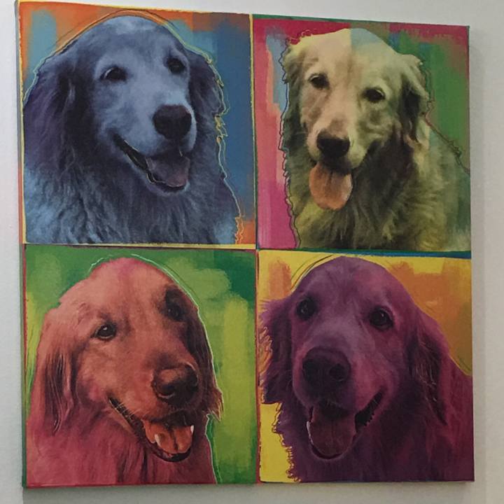 C2817b1c bdc3 4b89 a007 dbdcf52bea48