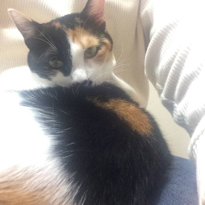 C2823045 37a0 4bf5 b38c 33e873ddae98