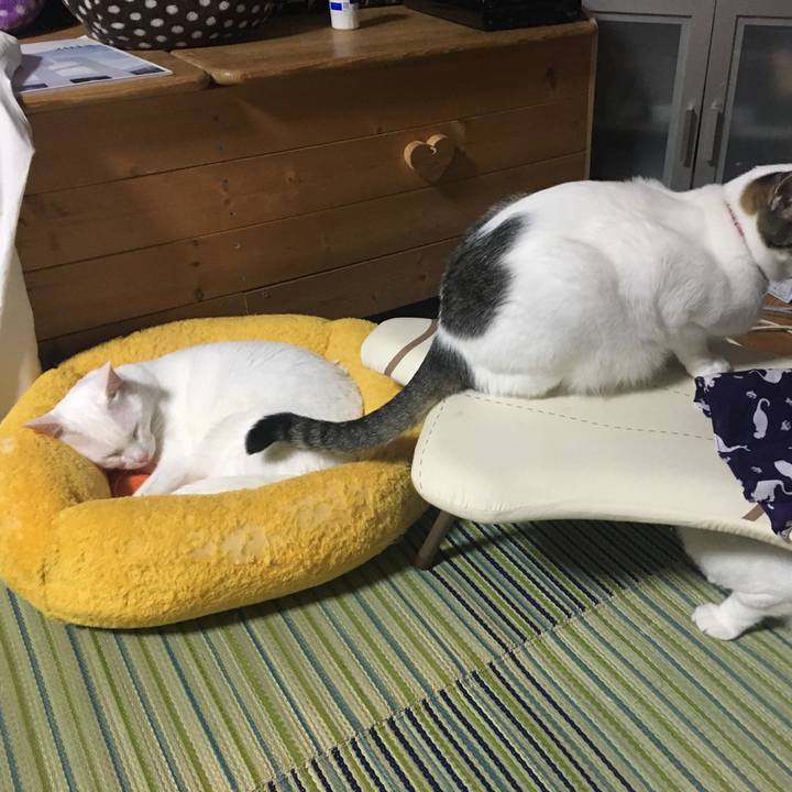 C2824150 24b4 47a6 be41 492f729c5d09