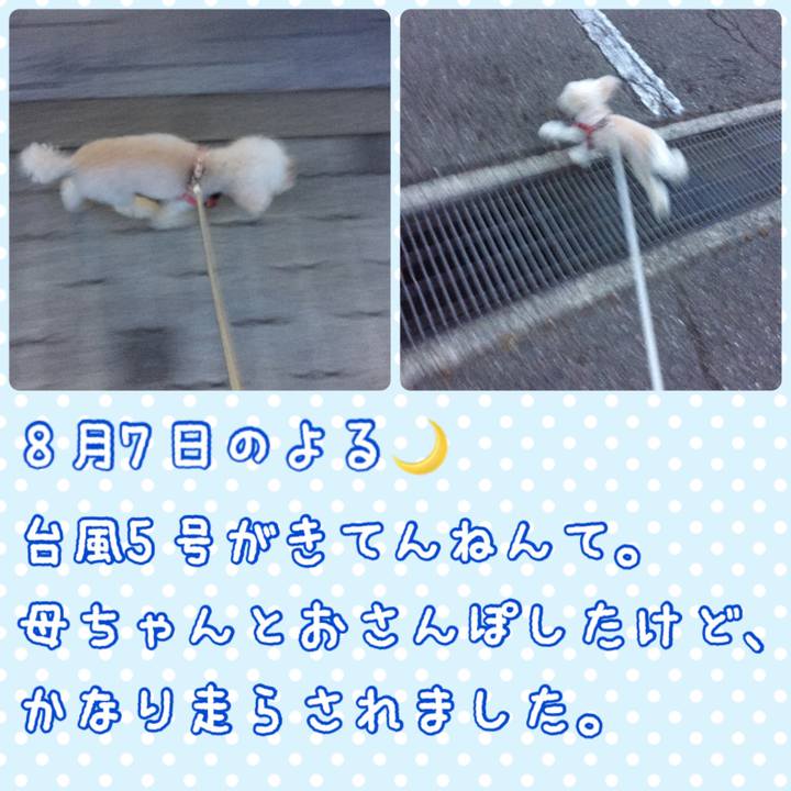 C2827916 4c4f 4c28 9f38 17f939c4f696