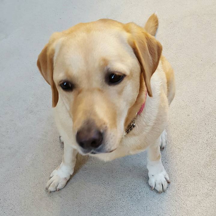 C282e683 505f 43c2 8012 2b7ede57f346