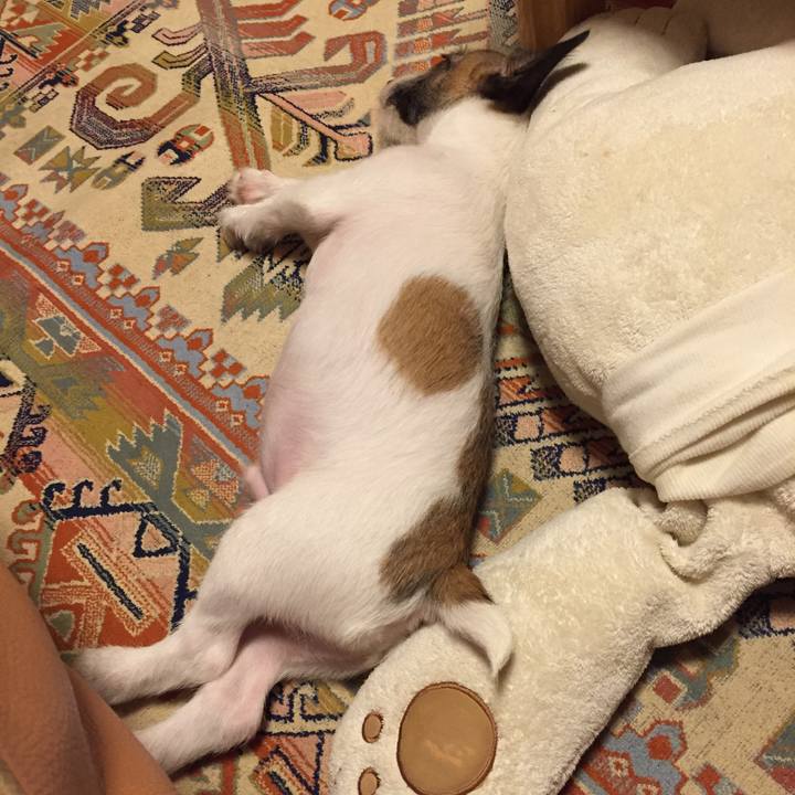 C28320fc 74da 49b9 aa86 31cd6645258c