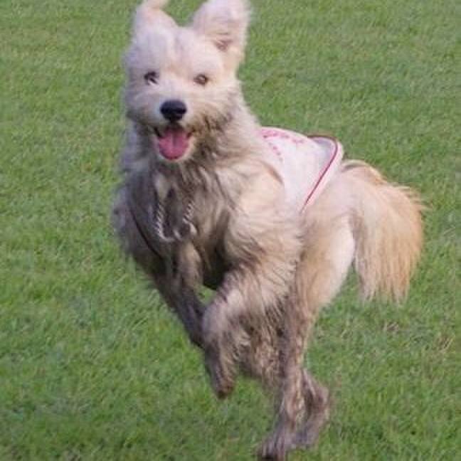 C28353b7 0b86 4cb5 b3d0 e7a886ac9aba