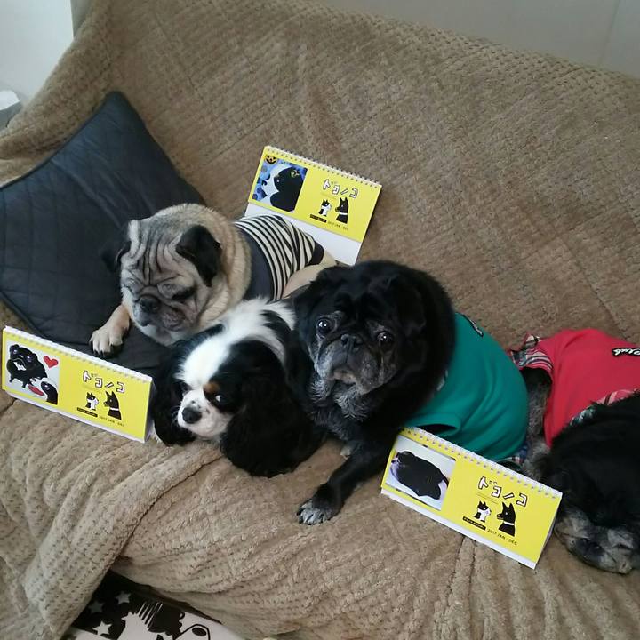 C283a13a f528 46c1 ba32 bd99b15d09fb