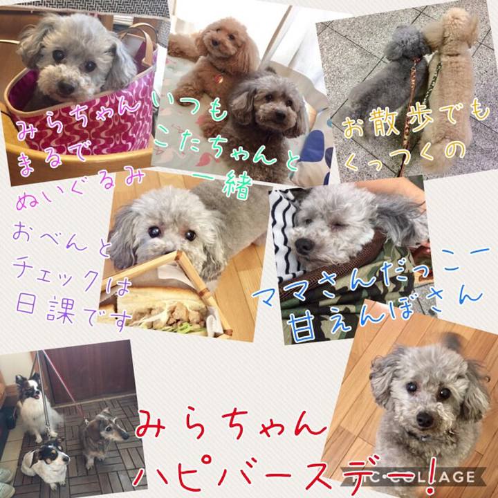 C2841576 5a80 4a86 8808 923f5aeba0eb